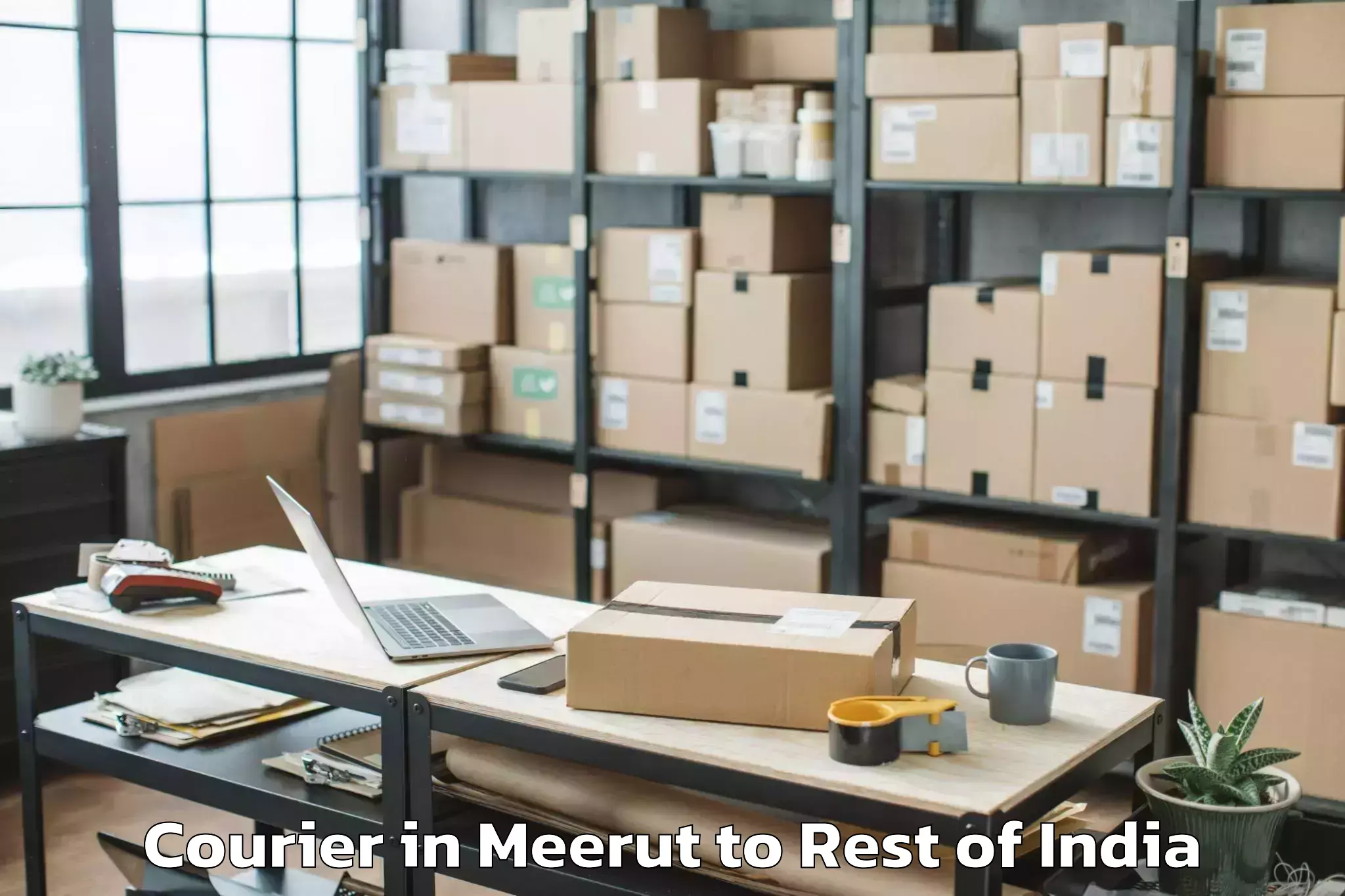 Reliable Meerut to Yellareddy Guda Courier